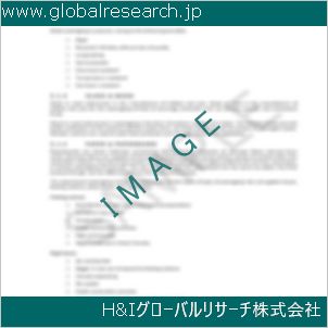 グローバルリサーチ調査資料のイメージ